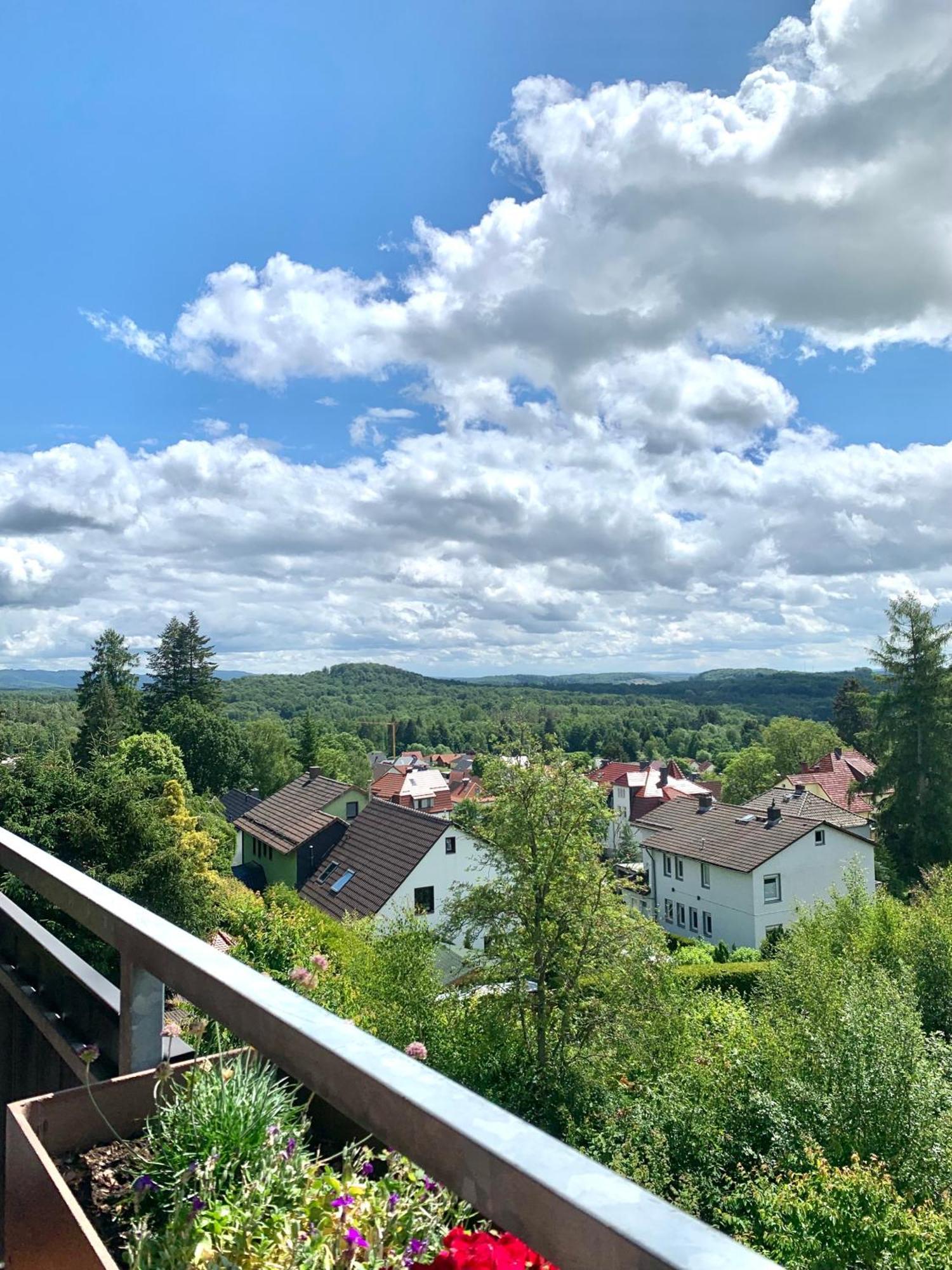 Jagdschloesschen-Harz Daire Bad Sachsa Dış mekan fotoğraf