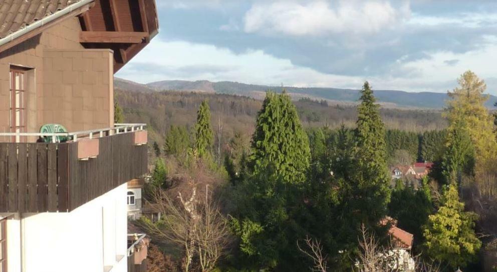 Jagdschloesschen-Harz Daire Bad Sachsa Dış mekan fotoğraf