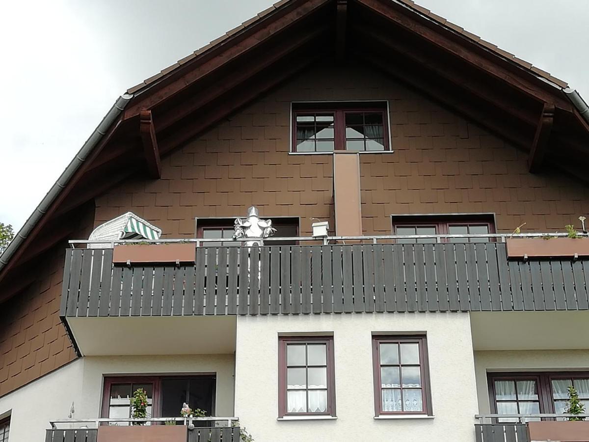 Jagdschloesschen-Harz Daire Bad Sachsa Dış mekan fotoğraf